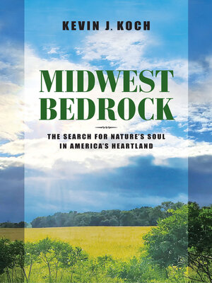 cover image of Midwest Bedrock